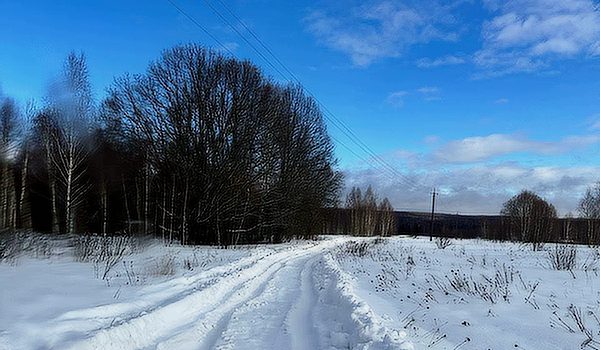 Monatsbericht Januar 2024