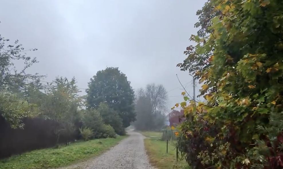 Monatsbericht Oktober 2025 Monatsbericht Oktober 2025